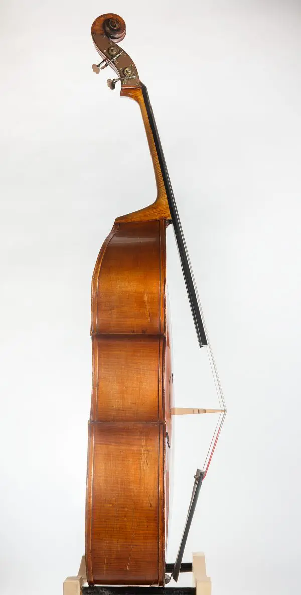 Flat Back 7/8 Double Bass – Late 19th to Early 20th Century - Image 4