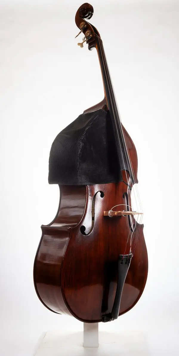 Kai Arvi 1982 Double Bass - Image 2