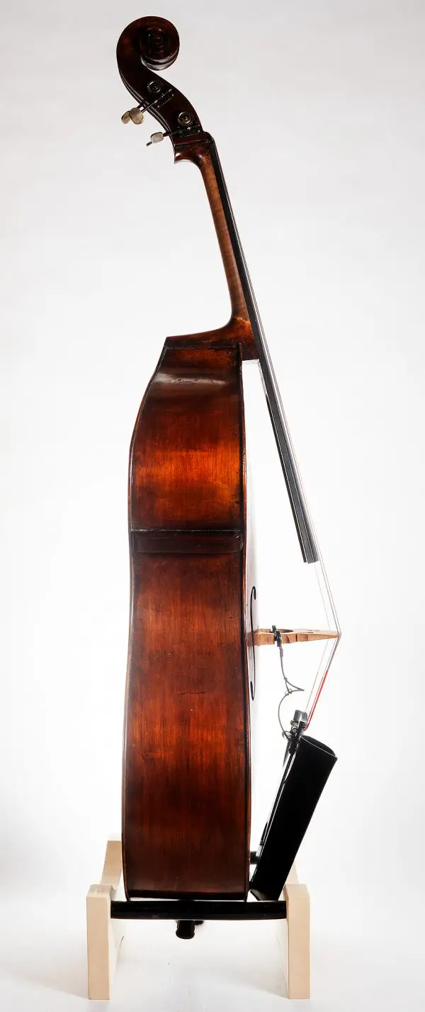 Kolstein "Pear Shaped" Double Bass - Image 4