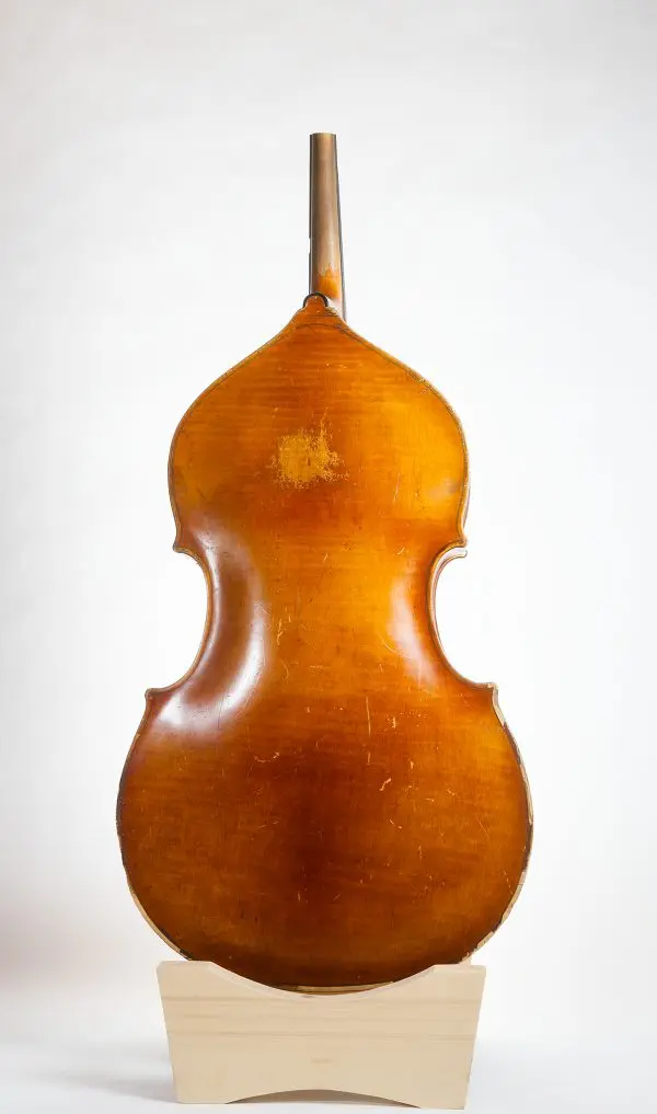 Kay S-51 5 String Bass Viol Restoration - Image 2