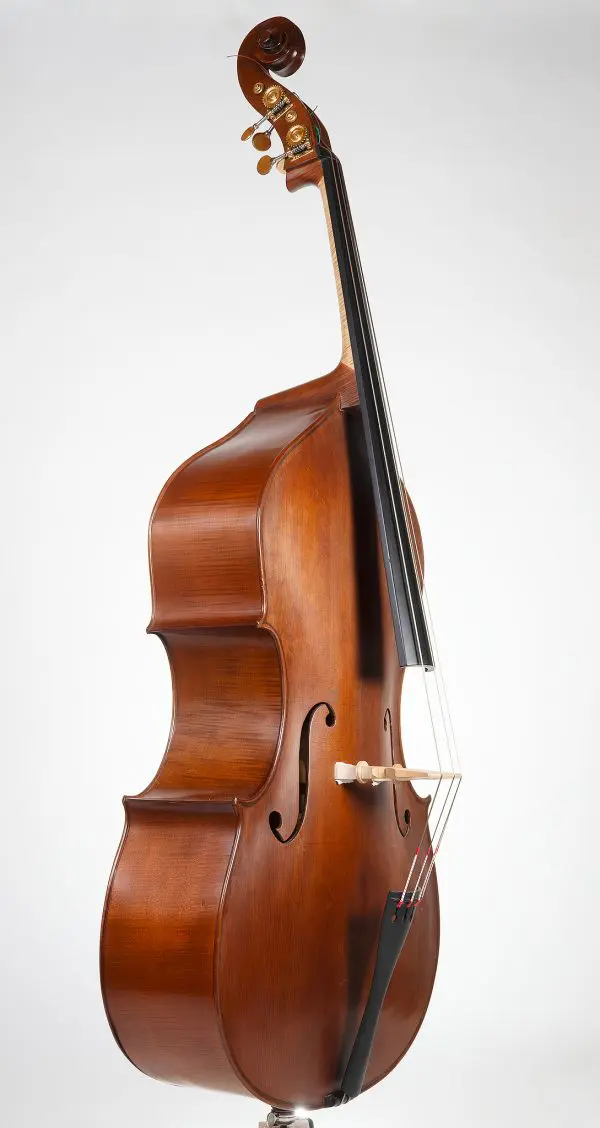 European Flatback, German Style - Image 4