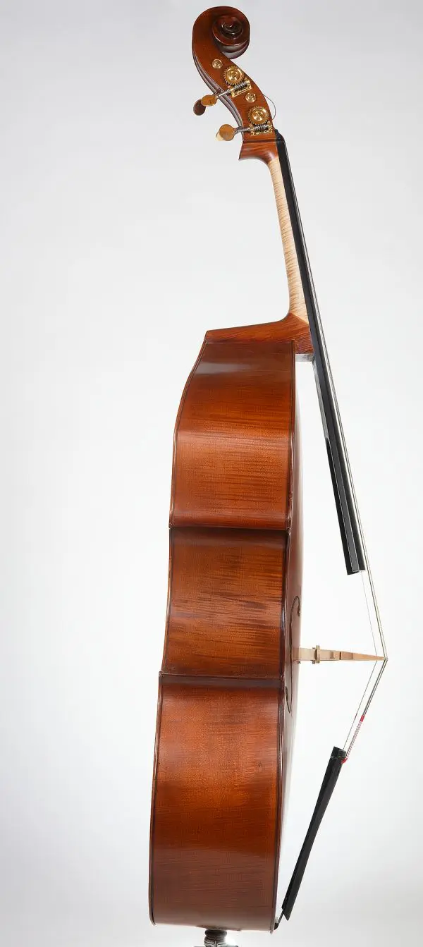 European Flatback, German Style - Image 3