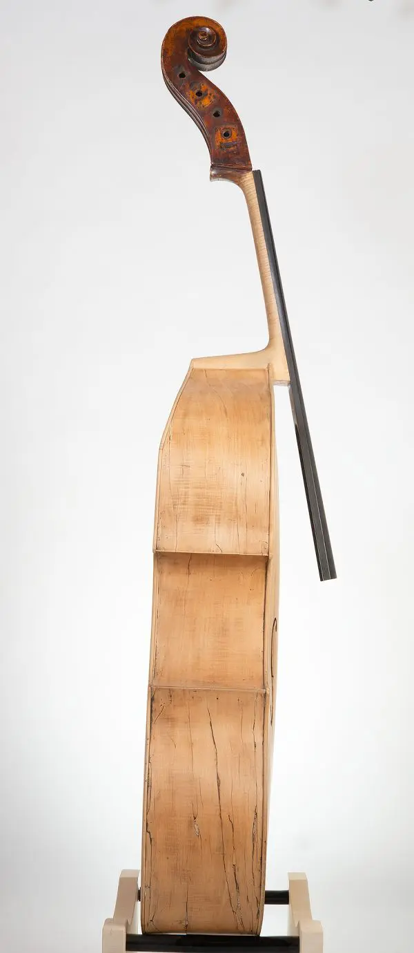Italian School Double Bass - Image 3
