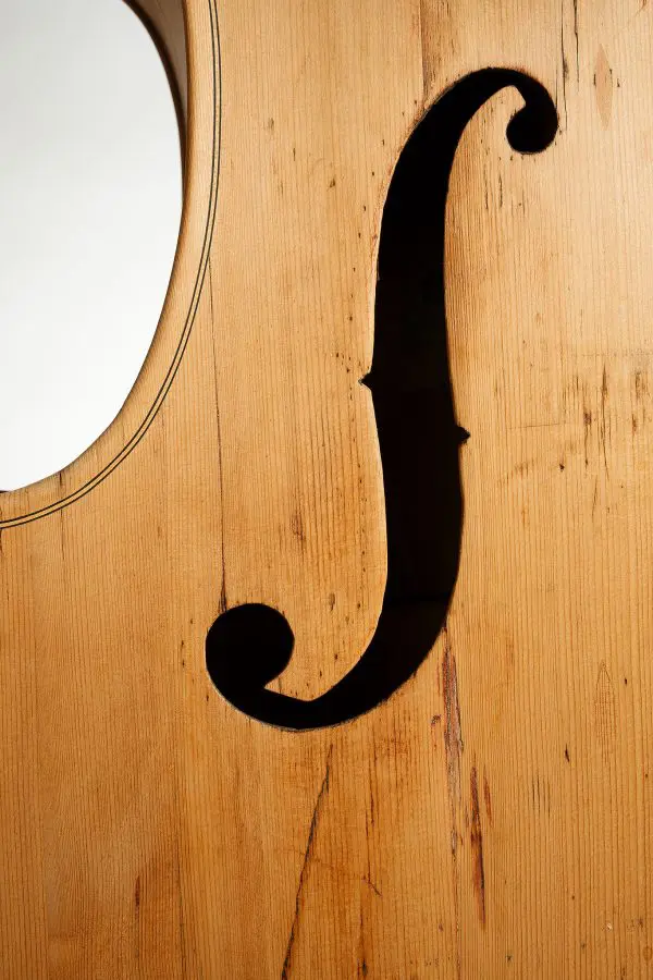 Italian School Double Bass - Image 7