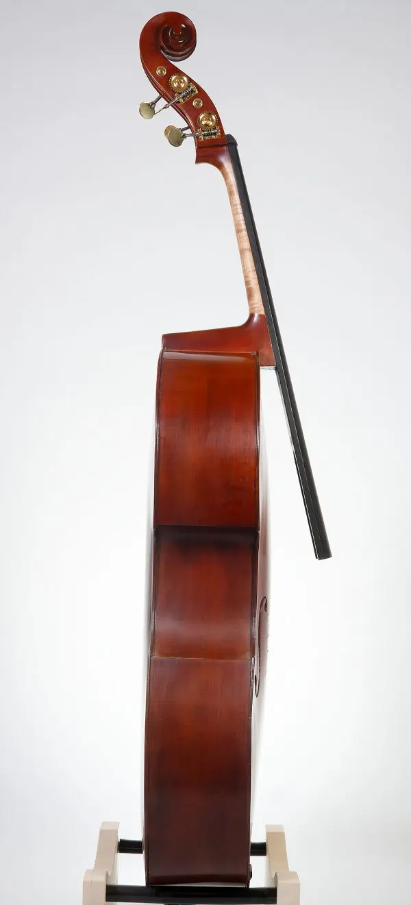 Large "Dutch-Style" Flatback Double Bass - Image 3