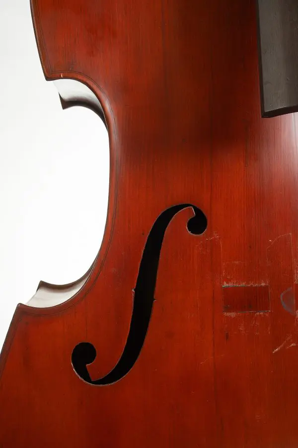 Large "Dutch-Style" Flatback Double Bass - Image 4