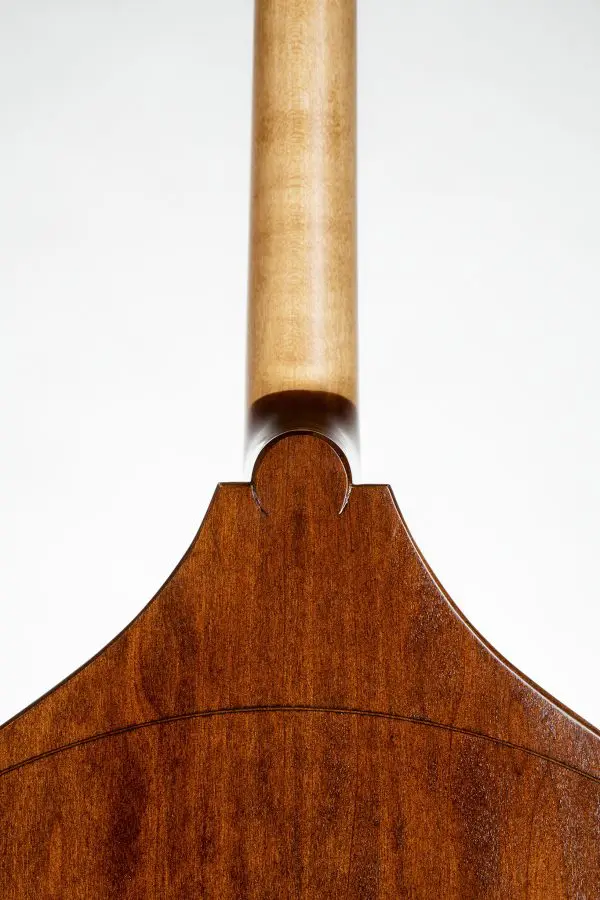 Upton Bass Gary Karr 2010 - Image 6