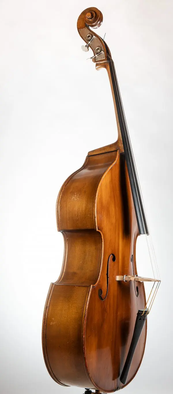 Anton Schuster Double Bass Mid 50s - Image 2
