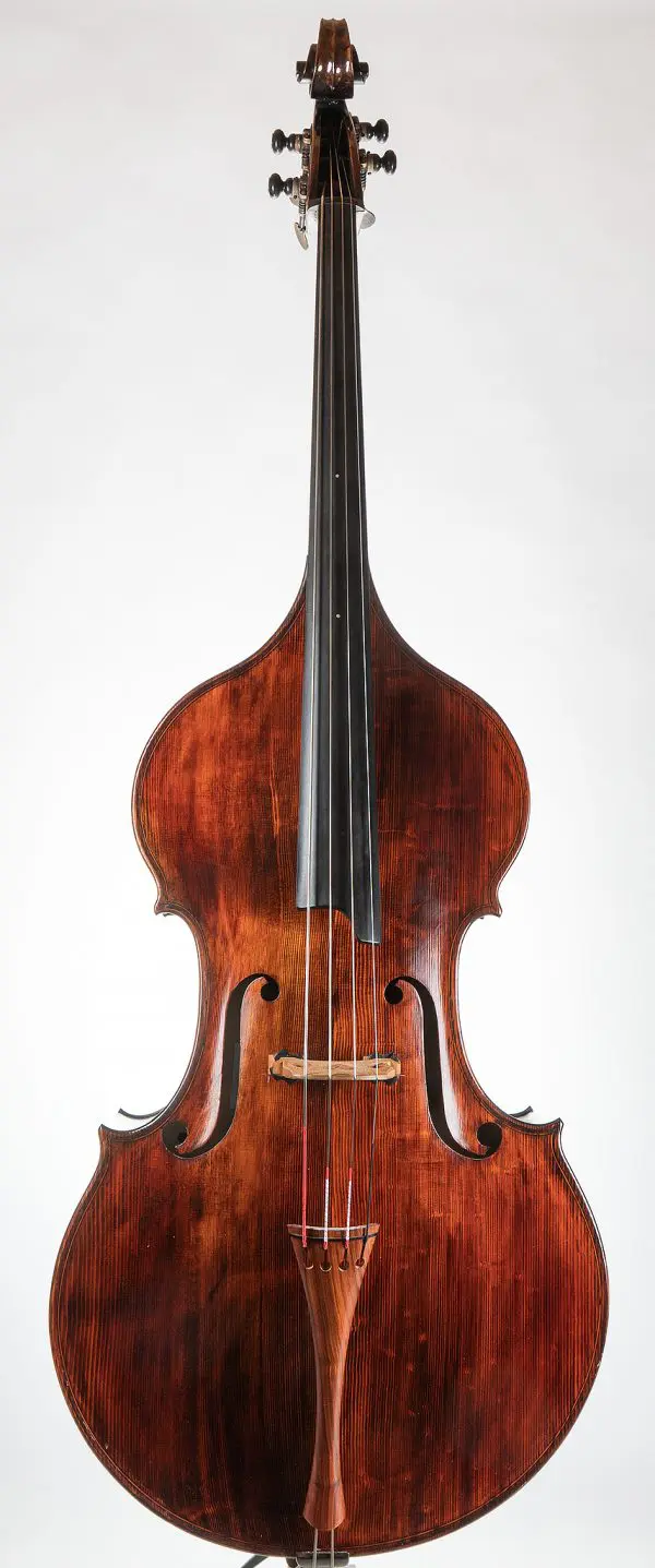 Luciano Golia double bass