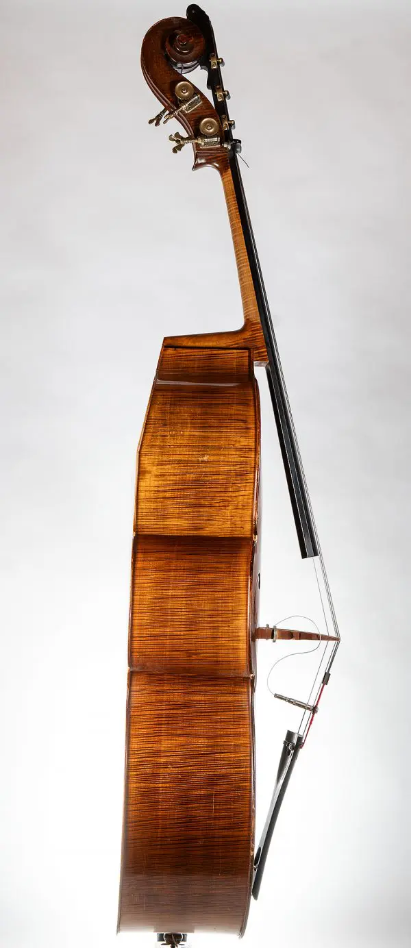 Side view of Donald Gorman 2007 double bass, showing the flat back design with cant.