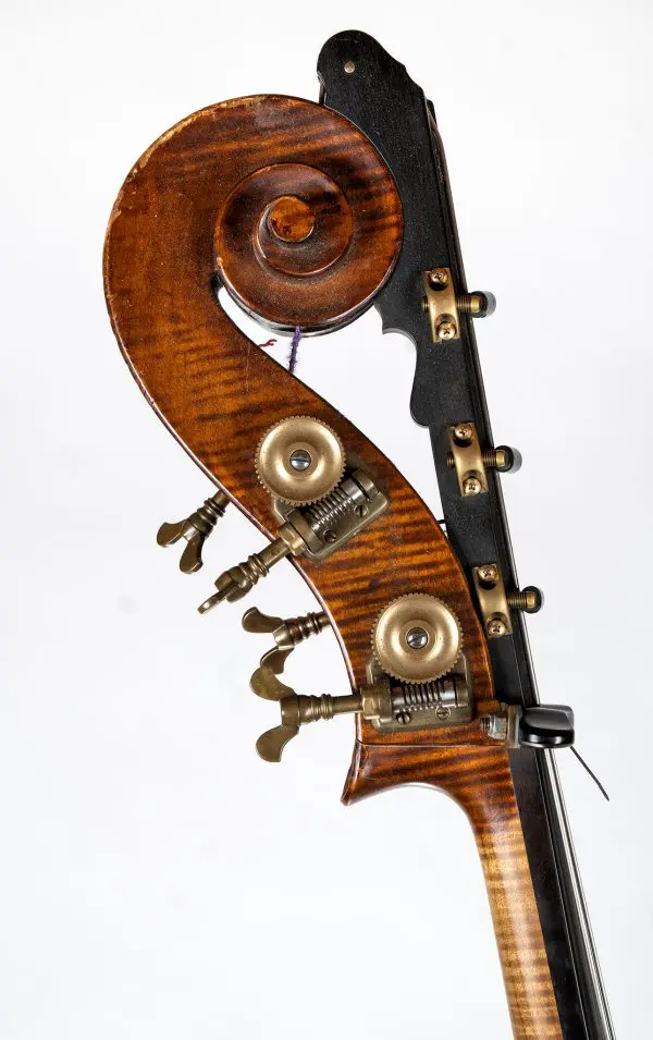 Close-up of scroll on Donald Gorman 2007 double bass, with C extension and Sloane tuners.