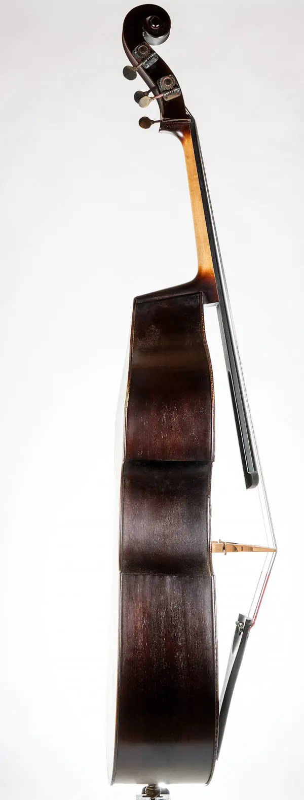 Side profile of Upton Bass Karr Model #493 showing flat back design and clean varnish