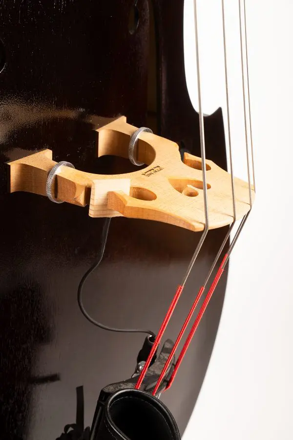 UB Standard Laminate Double Bass 2022 - Image 5