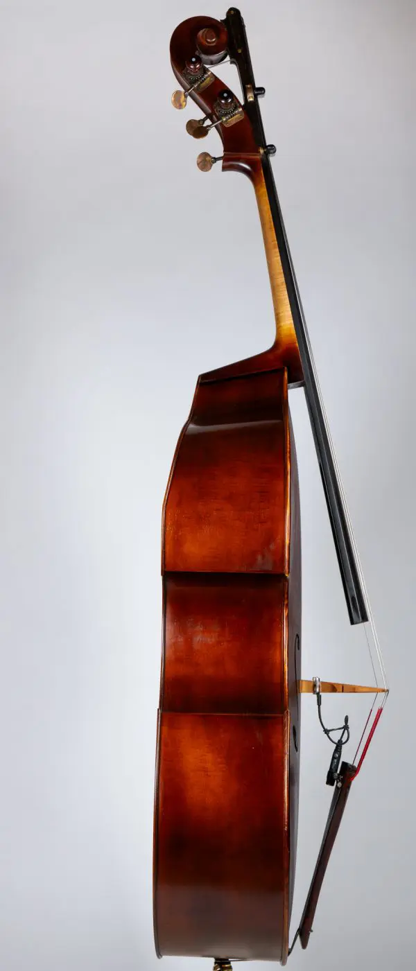 Upton Bass Klotz Double Bass - Image 4