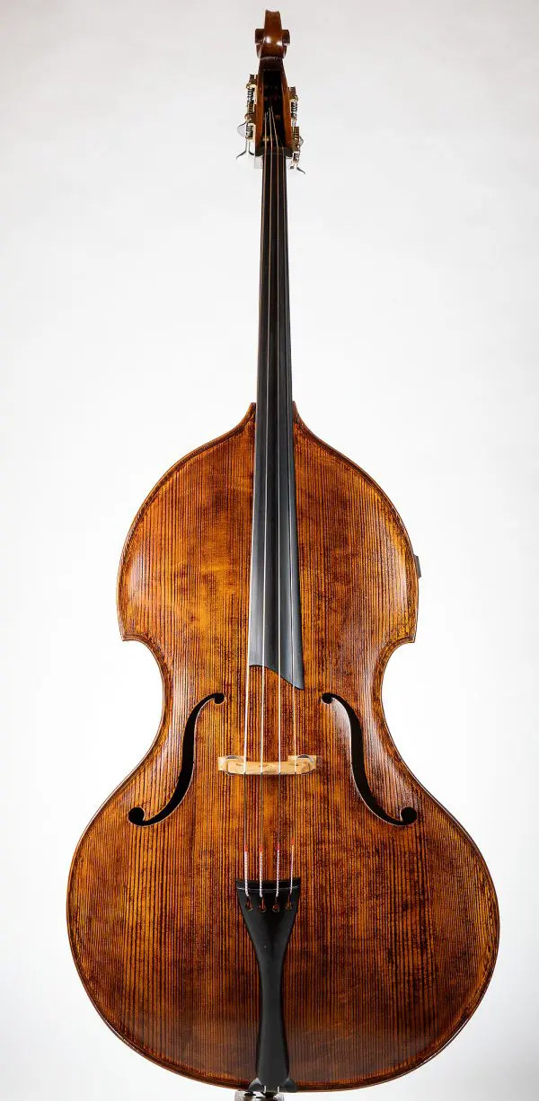 Arnold Schnitzer & Upton Bass Ergo