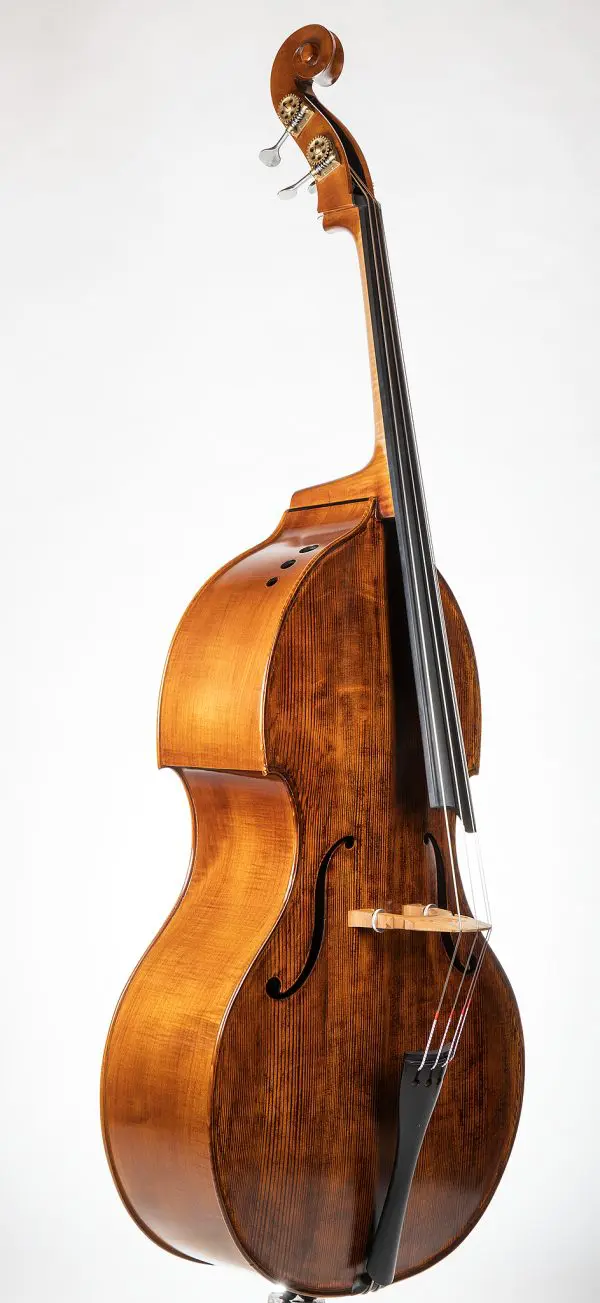 Arnold Schnitzer & Upton Bass Ergo - Image 2
