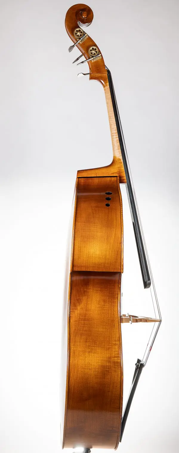 Arnold Schnitzer & Upton Bass Ergo - Image 3
