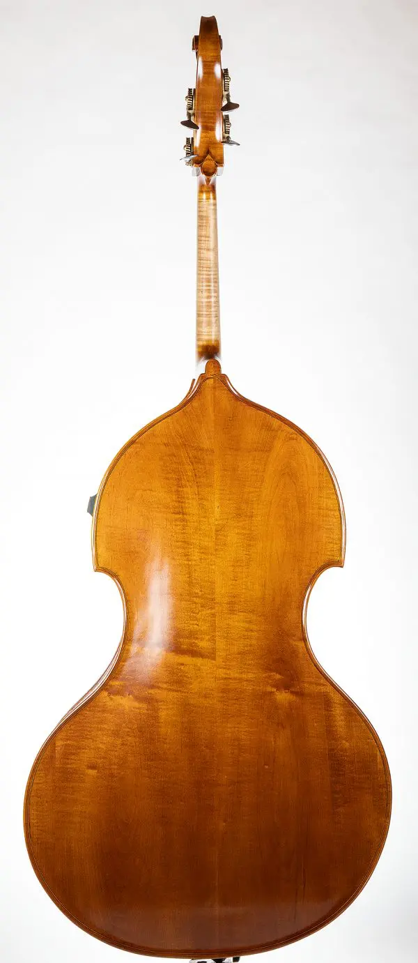 Arnold Schnitzer & Upton Bass Ergo - Image 4