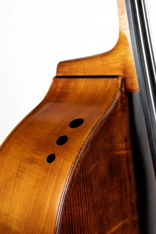 Arnold Schnitzer & Upton Bass Ergo - Image 5