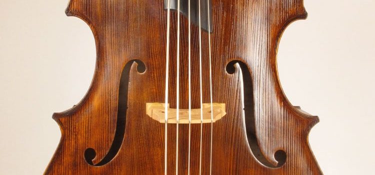 Upton Bass Brescian 5 String Double Bass