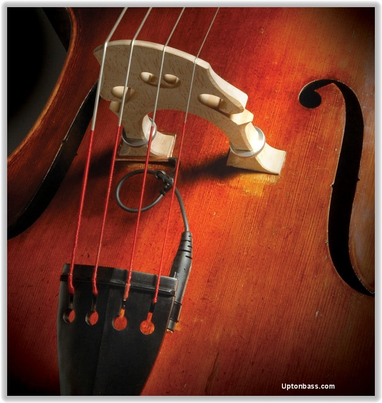 The Realist Double Bass Pickup by David Gage for Double Bass 