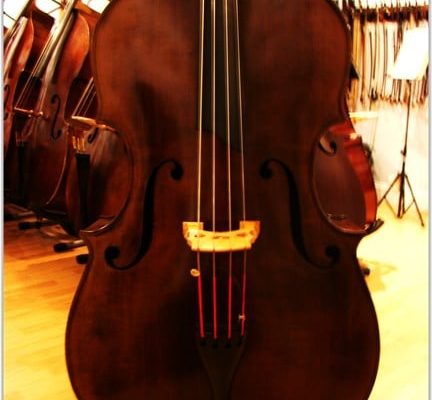 SOLD: A Very Special UB Deluxe HYBRID Double Bass- Carved Top Hybrid Upright Bass