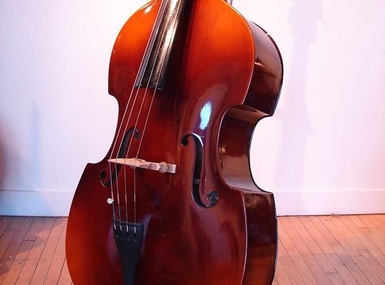 SOLD Lidl Plywood Double Bass