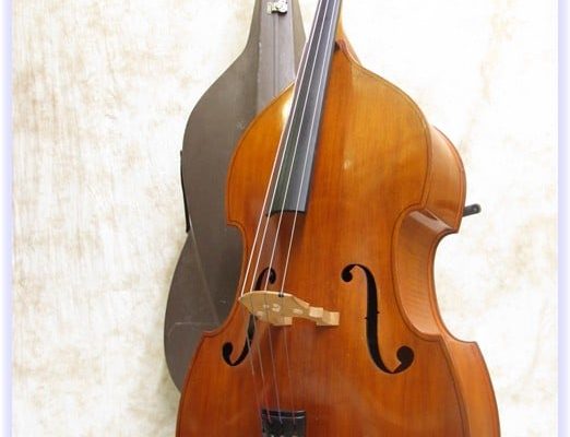 SOLD: Wilfer Laminated Double Bass Outfit