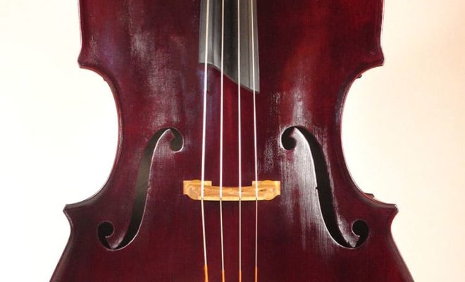 Brooklyn Taxi Disaster Double Bass Renewed