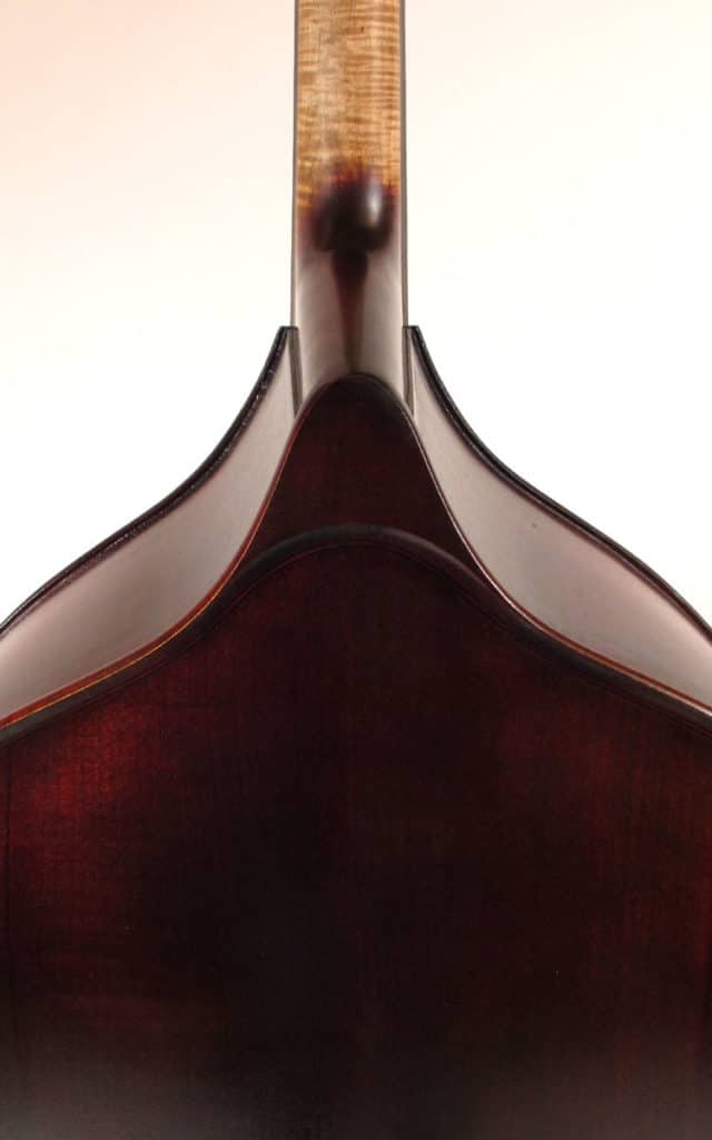 Upton Bohemian 5 String Double Bass