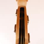 Upton Tigerswing Double Bass