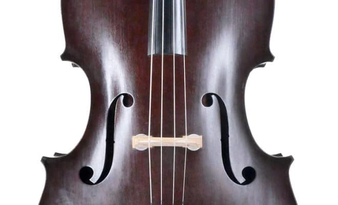 Gagnon double bass Cappa model