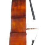 Luciano Golia double bass side