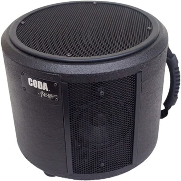 Acoustic Image Coda Bass Speaker Cabinet