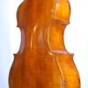 VonTietz Double Bass Back Angle