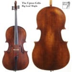The Upton Cello Big Leaf Maple