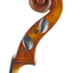 Cello Upton English Sycamore
