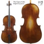 The Upton Cello - English Sycamore