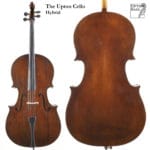 The Upton Cello - Hybrid