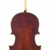Cellos at Upton Bass Poplar