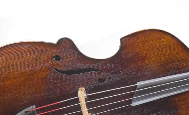 Featured Bass: Concord Model Opus 213, 2021