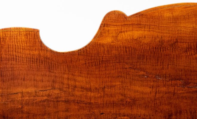 “Tutu” Spalted Maple Concord Double Bass, Opus 220