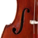 Anton Schroetter double bass