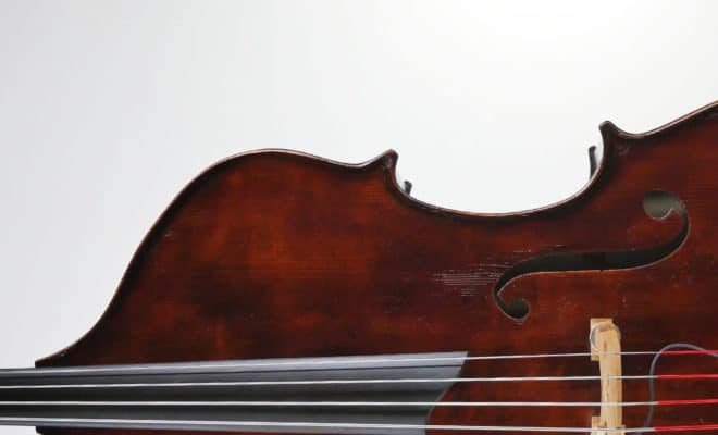 New Stonington Model Double Bass Sneak Peek