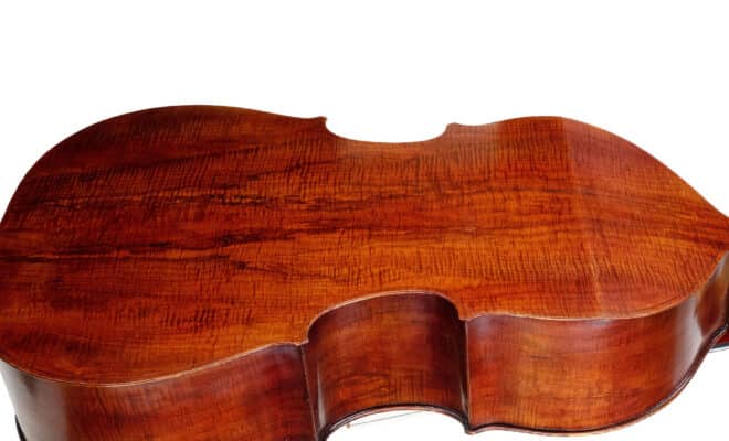 “Santagiuliana” Double Bass Gallery