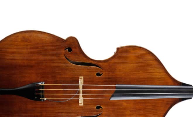 Ten Years of the Concord Model Upton Double Bass