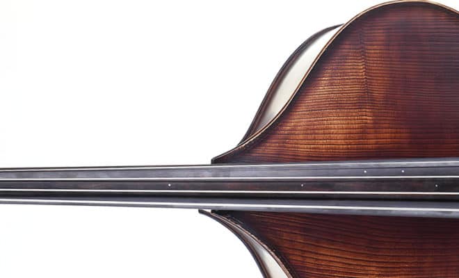 Upton “Bulkin” Brescian Hybrid Double Bass, Opus 769, 2021