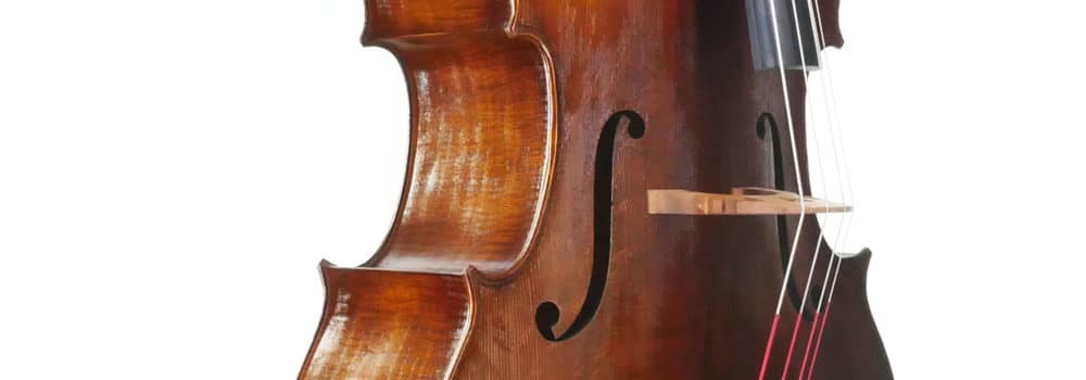 The Brescian Model Upton Double Bass