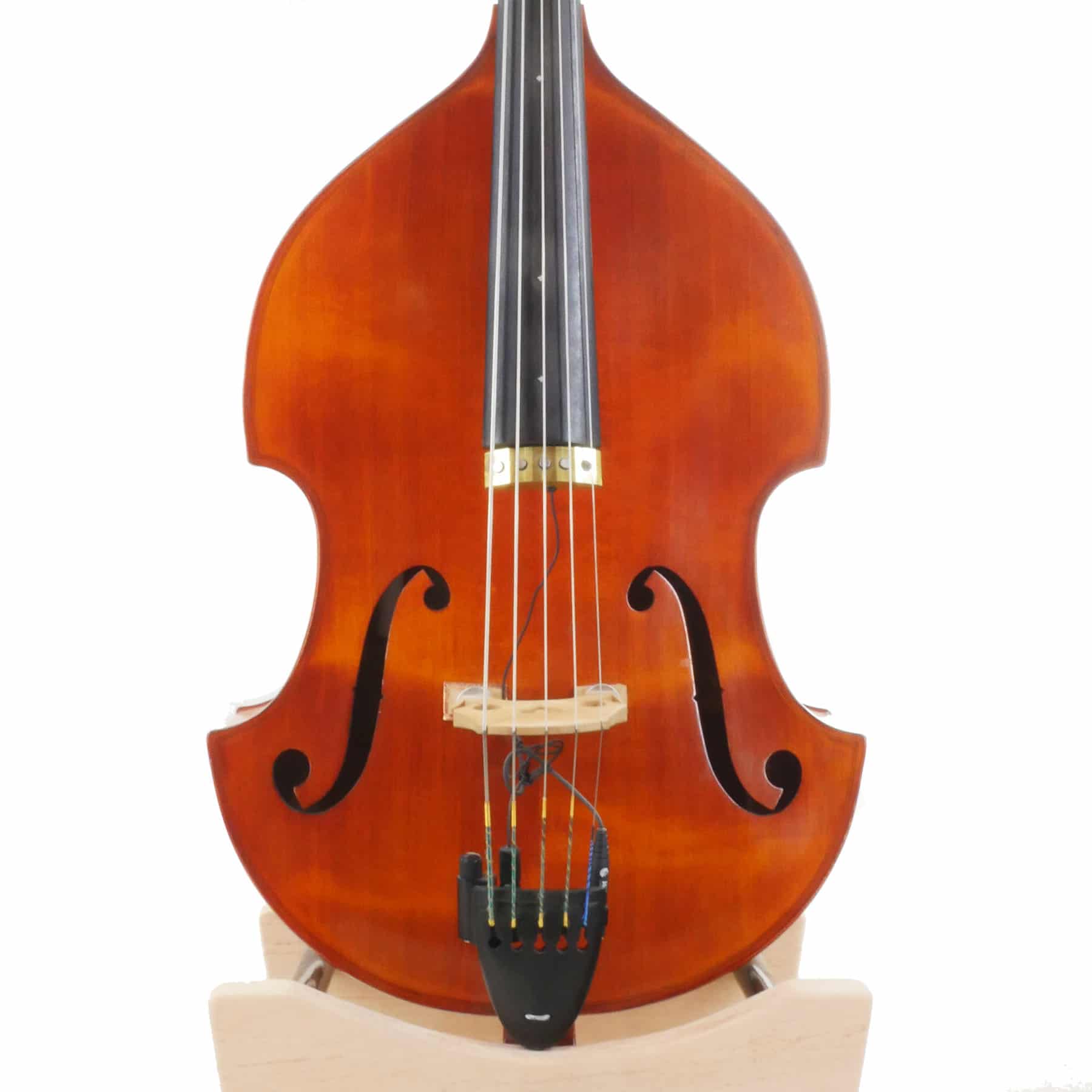 Czech Ease Archives - Upton Bass String Instrument Co.